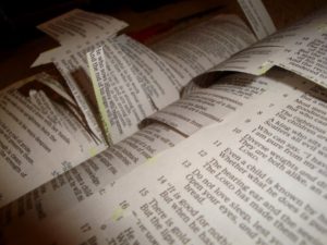 cut-and-paste-bible