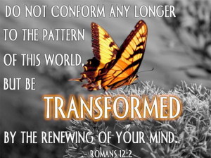 do not conform