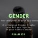 creation and gender by God