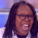 Whoopi banner pic